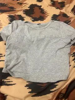 グレー クロップド丈 半袖Tシャツのサムネイル