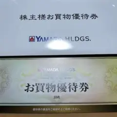 YAMADA HLDGS. お買物優待券 50枚　25000円分