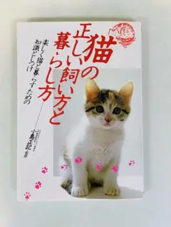 Item thumbnail for item af44cbe2-4b58-447a-b1ec-992b2fcd264e