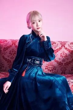 限定価格［美品］被宝園 よくばりチャイナワンピース セール】【18着限定受注生産】よくばりチャイナワンピ【オーダー