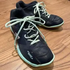 Item thumbnail for item e697c1c6-a7b7-4961-8422-55301dbb87a8