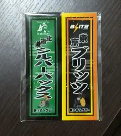 ★激レア★　車いすラグビー日本代表　支給品インサレーションジャケット④ 古き良きアメリカをリスペクトRIDEZカークラブコート！旧車に