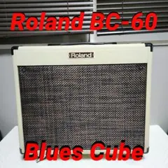 超希少 美品 Roland BN-60 Bass Note 60W カバー付 超希少 美品 Roland BN-60 Bass Note 60W カバー付 - メルカリ