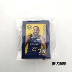 宇都宮ブレックス　2025-26選手ミニチュアアートイーゼルD.Jニュービル選手