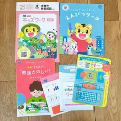 PPパンマン様専用】 こどもちゃれんじ 【ほっぷ】キッズワークのみ