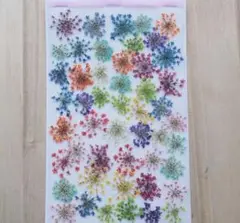 押し花カラフルレースフラワー50枚