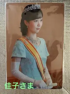 新品未開封　プリンセス佳子さま　オマージュアルミプレートブリキ看板①