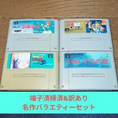 周年祭価格862 SFC 訳ありバラエティーセット