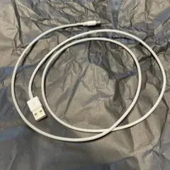 Apple 充電ケーブル ホワイト　ジャンク品