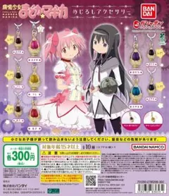 全10種コンプ 魔法少女まどか☆マギカ めじるしアクセサリー
