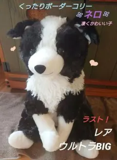 2026年最新】くったりボーダーコリー ぬいぐるみの人気アイテム - メルカリ