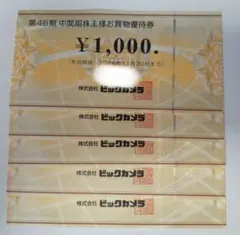 ビックカメラ　株主優待　5000円分