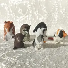 おじぎさん 1礼5種＋2礼1種