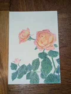 オレンジ色のバラの色鉛筆画 絵ハガキサイズ