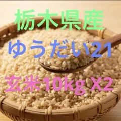2026年最新】ゆうだい21の人気アイテム - メルカリ