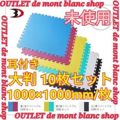 ボディデザイン ジョイントマット リバーシブル 10枚セット大判 フリーカット