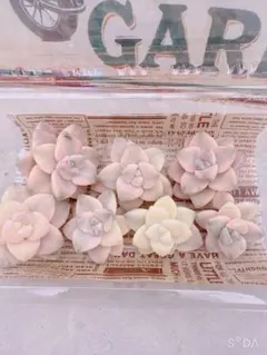 あーさん様 リクエスト 2点 まとめ商品