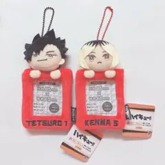 ハイキュー!! みにコレ！ぬいぐるみカードホルダー 黒尾鉄朗 孤爪研磨