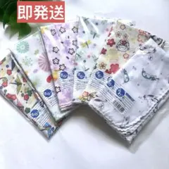 Item thumbnail for item f77f43ec-88fa-4173-a9ff-3924154a5f57