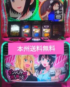 ダンベル何キロ持てる？　スマスロ　実機　家庭用改造済み　送料込み danberu-02.jpg