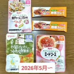 【1歳〜】幼児食・離乳食4種5つセット　ミートソース　カレー