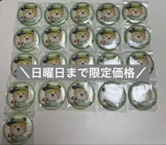 ちいかわ 刺繍缶バッジ うさぎ リボン 20個セット - メルカリ