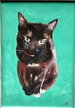 トナカイ様 リクエスト 2点 まとめ商品