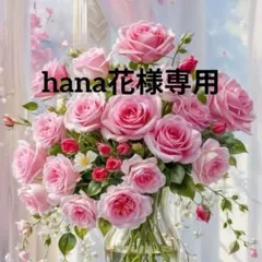 ❀hana花様専用オーダーページ❀　　ハンドメイド❀レース編み