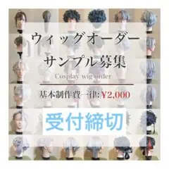 2025年最新】ウィッグオーダーの人気アイテム - メルカリ