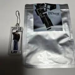 EXO'verse ファンミーティングMD キーリング　レイ