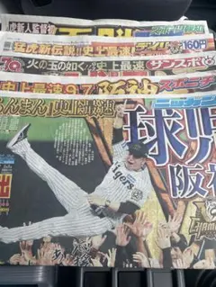 阪神タイガース　優勝　9月8日　スポーツ新聞　5紙セット