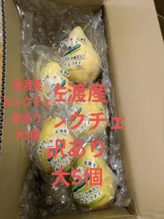 2026年最新】ル・レクチェの人気アイテム - メルカリ