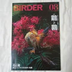 BIRDER 2025年8月号