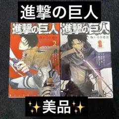 初版・帯付き】進撃の巨人 28巻 - メルカリ