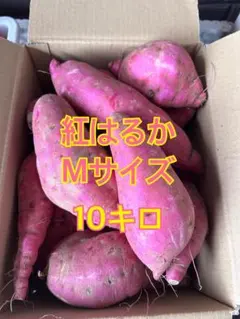 紅はるか さつまいも Mサイズ 10kg