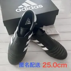 adidas TAEKWONDO 【25.0cm】匿名配送