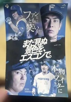 ファイターズ　ステッカー　松本剛　田中正義
