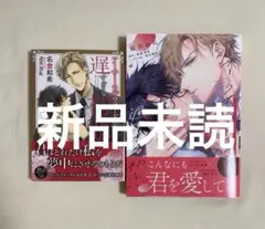 アーサー・ラザフォード氏の遅すぎる初恋　名倉和希/鮭田ねね　コミックと原作　新品
