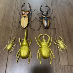 新品未開封　ガシャポン　かぶとむし くわがた すずめばち サソリ あり セット バンダイいきもの大図鑑シリーズ