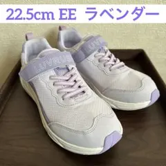 LUVRUSH 22.5 EE ラベンダー ムーンスター スーパースター バネ