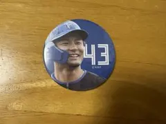 2026年最新】日ハム缶バッチの人気アイテム - メルカリ