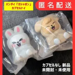 スキズ SKZOO「ライトマスコット」リービット＆パピーム 【新品・未開封】