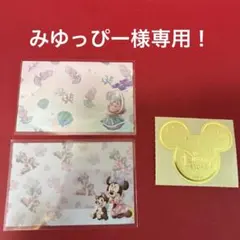 みゆっぴー様専用❗️ ディズニーストア　マイナンバーカードケース　2枚