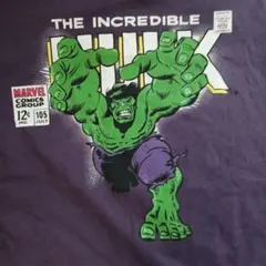 ZARAキッズ　150～160 インクレディブル・ハルク 長袖Tシャツ