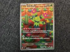 2025年最新】マラカッチARの人気アイテム - メルカリ