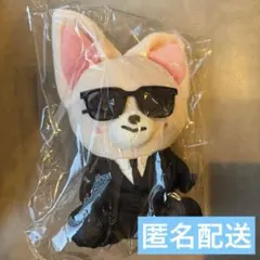 スキズ StrayKids POPUP限定 ぴょこぴょこぬいぐるみ ポカリ - メルカリ