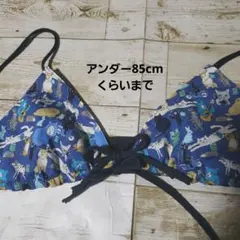 Item thumbnail for item 06ddaa98-320f-4fc6-b09d-f8be5d57901b