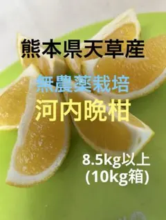 2026年最新】無農薬河内晩柑の人気アイテム - メルカリ