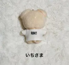 straykids skzoo フォトTシャツ　RUN IT