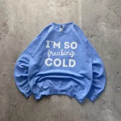 ギルダン USA古着 プリント スウェット トレーナー 水色 グッド配色 英文字